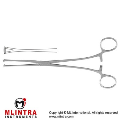 Lockwood Intestinal and Tissue Grasping Forceps Stainless Steel, 20 cm - 8"
